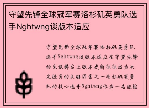 守望先锋全球冠军赛洛杉矶英勇队选手Nghtwng谈版本适应