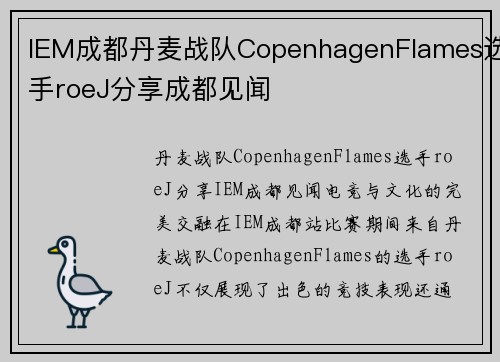 IEM成都丹麦战队CopenhagenFlames选手roeJ分享成都见闻