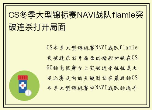 CS冬季大型锦标赛NAVI战队flamie突破连杀打开局面