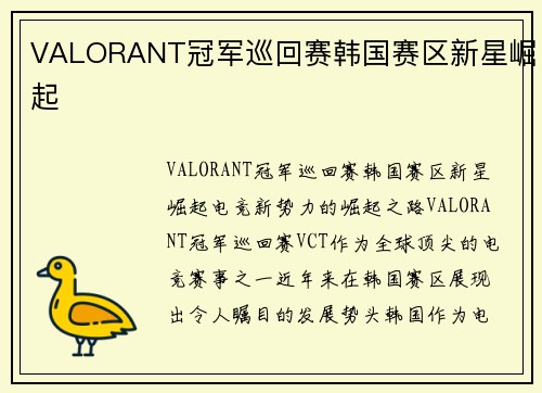 VALORANT冠军巡回赛韩国赛区新星崛起
